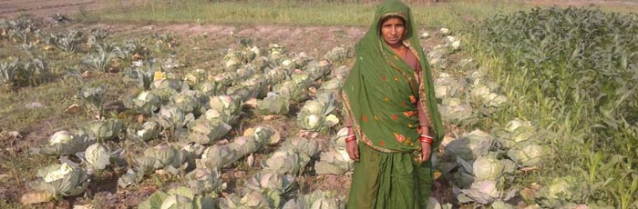 Caritas India DRR bihar