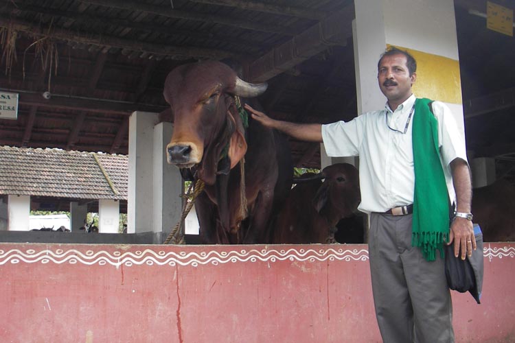 Caritas India sustainable farming