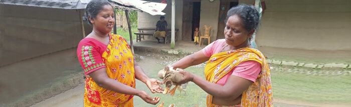 FARM NE Livelihood