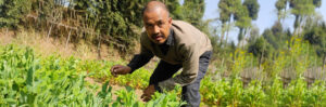 The Inspirational Journey of Warrington Nongspung: Towards sustainable farming