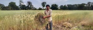 Hemraj Turned His Struggling Farm into a Model of Climate-Smart Success